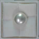 Load image into Gallery viewer, FRESH WATER PEARL (277)