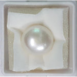 Load image into Gallery viewer, FRESH WATER PEARL