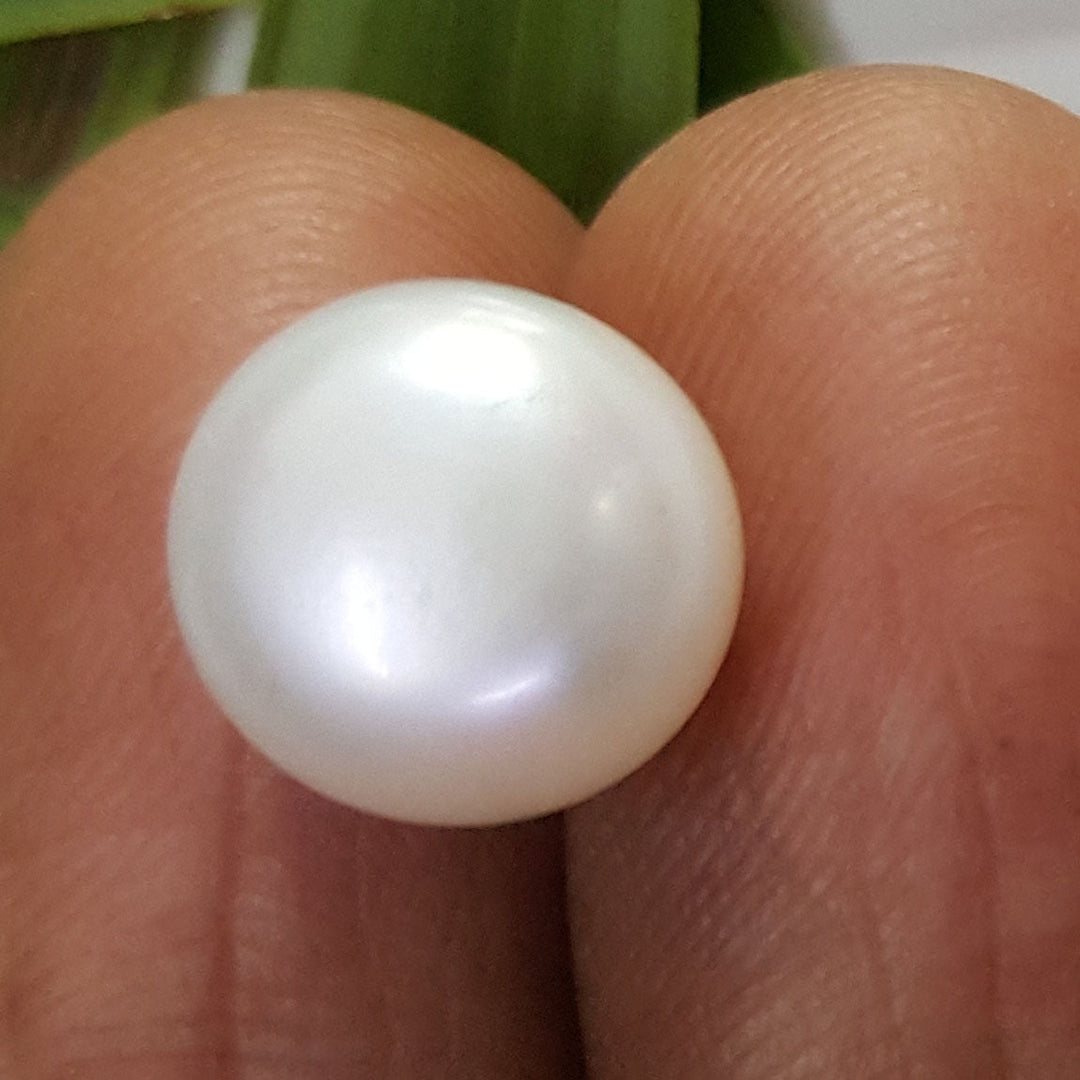 7.21 Ratti Fresh Water Pearl (277)