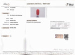Load image into Gallery viewer, 11.94/Carat Natural Cylindrical Red Coral (1800)