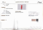 Load image into Gallery viewer, 8.41/Carat Natural Cylindrical Red Coral (1800)