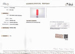 Load image into Gallery viewer, 7.61/Carat Natural Cylindrical Red Coral (1800)