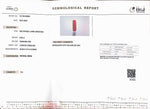 Load image into Gallery viewer, 8.60/Carat Natural Cylindrical Red Coral (1800)