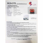 Load image into Gallery viewer, 4.87/CT Natural Govt. Lab Certified Ceylonese Gomed-(1221)