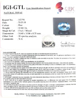Load image into Gallery viewer, 10.44/CT Natural Certified Blue Topaz Gemstone -102795