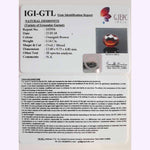 Load image into Gallery viewer, 5.71 Ratti Gomed with Govt. Lab Certificate-(1100)