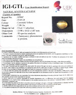 Load image into Gallery viewer, 7.58/CT Natural Apatite Cat's Eye With Govt. Lab Certificate-103047