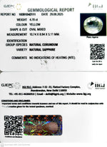 Load image into Gallery viewer, 4.78/CT Natural Yellow Sapphire With Govt Lab Certificate (16650)