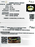 Load image into Gallery viewer, 5.84/CT Natural Yellow Sapphire With Govt Lab Certificate (12210)