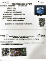 4.99/CT Natural Blue Sapphire with Govt Lab Certificate (16650)
