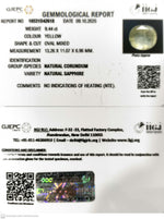 Load image into Gallery viewer, 9.44/CT Natural Yellow Sapphire With Govt Lab Certificate (16650)