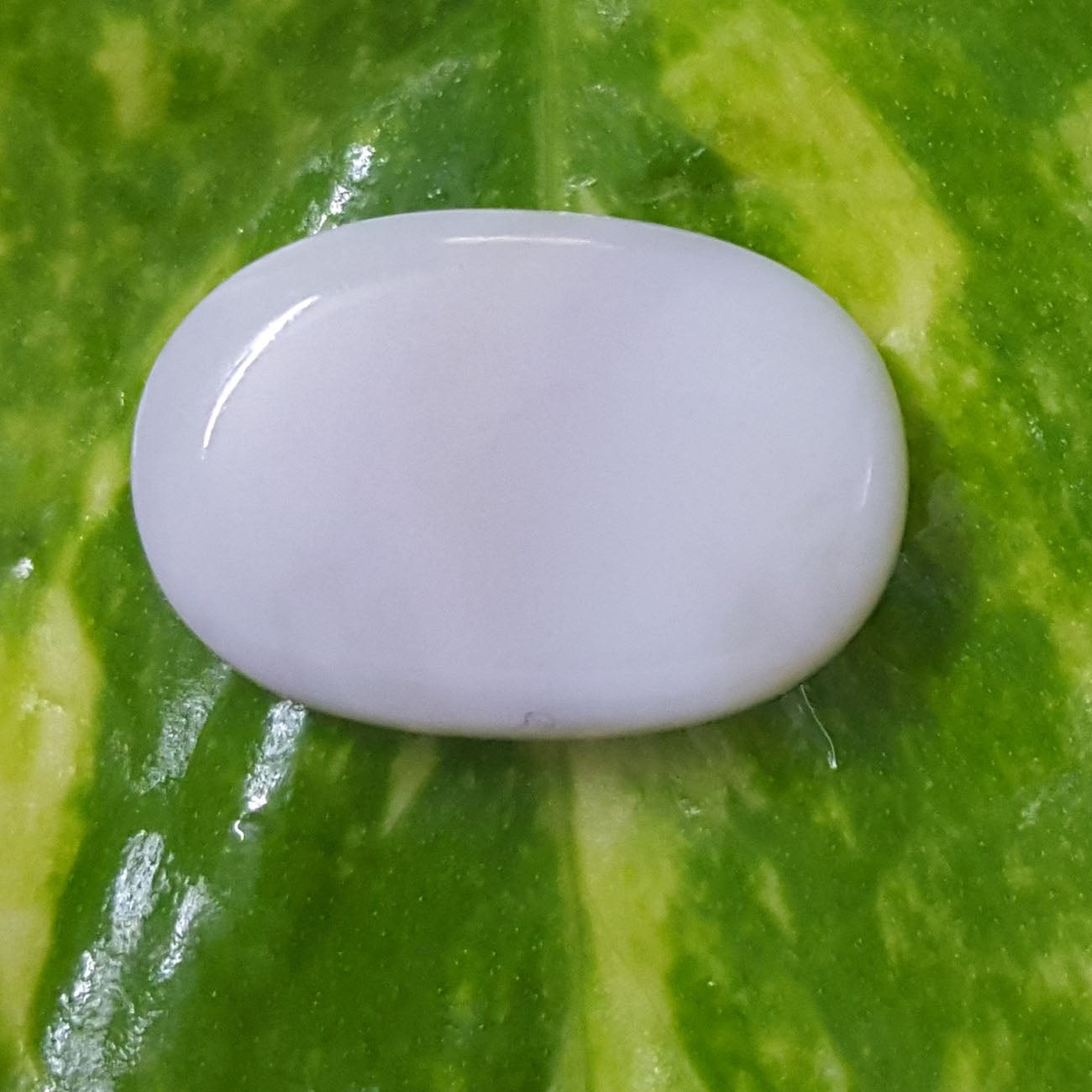 10.51 Ratti Oval Shape Natural Opal with Govt. Lab Certificate-(610)