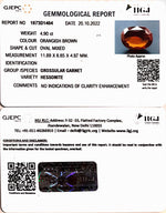 Load image into Gallery viewer, 4.90/CT Natural Govt. Lab Certified Ceylonese Gomed-(1221)