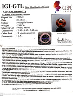 Load image into Gallery viewer, 5.53/CT Natural Hessonite Stone with Govt. Lab Certificate-107542
