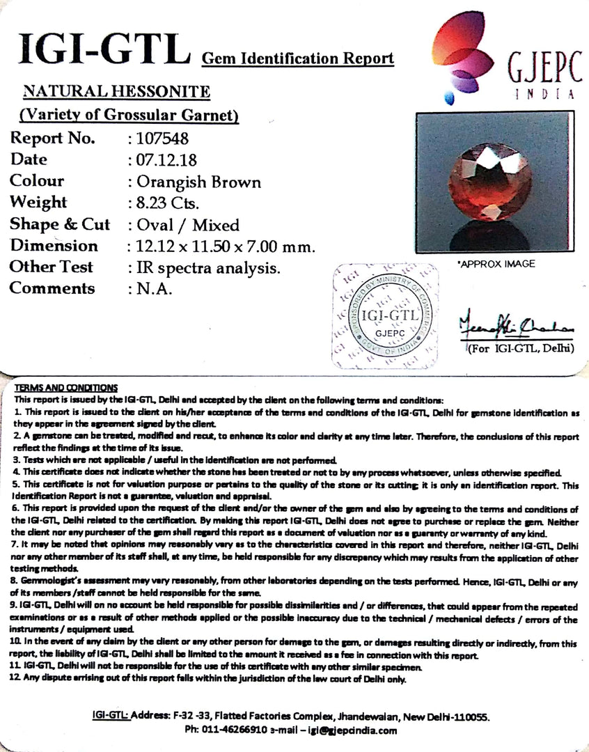 9.14 Ratti Natural Hessonite with Govt. Lab Certificate-(1221)