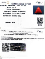 Load image into Gallery viewer, 7.27/CT Natural Red Coral With Govt. Lab Certificate-10815D43653