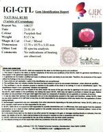 Load image into Gallery viewer, 9.02 Ratti Natural New Burma Ruby with Govt Lab Certificate-(108227)