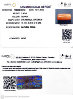 Load image into Gallery viewer, 7.60/CT Natural Red Coral With Govt. Lab Certificate-10833D43733