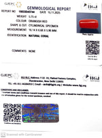 Load image into Gallery viewer, 5.75/CT Natural Red Coral With Govt. Lab Certificate-10833D43744