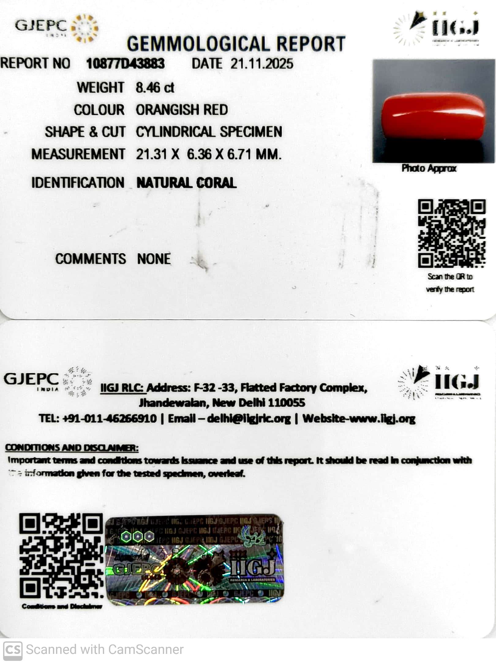 8.46/CT Natural Red Coral With Govt. Lab Certificate-10877D43883