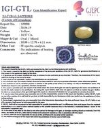 Load image into Gallery viewer, 16.19 Ratti Natural Yellow Sapphire With Govt Lab Certificate-(1221)