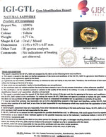 Load image into Gallery viewer, 6.77/CT Natural Yellow Sapphire With Govt Lab Certificate-56610
