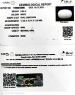 Load image into Gallery viewer, 5.84/CT Natural Opal with Govt. Lab Certificate-11006D44506