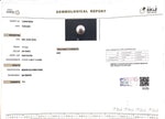 Load image into Gallery viewer, 11.13/CT South Sea Pearl with Govt. Lab Certificate-1550