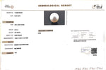 Load image into Gallery viewer, 9.04/CT Natural South Sea Pearl with Govt. Lab Certificate (1550)