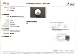 Load image into Gallery viewer, 11.55/CT Natural South Sea Pearl with Govt. Lab Certificate-1550