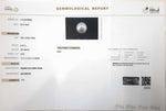 Load image into Gallery viewer, 6.45/CT Natural South Sea Pearl with Govt. Lab Certificate (1550)