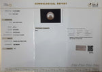 Load image into Gallery viewer, 6.41/CT Natural South Sea Pearl with Govt. Lab Certificate (1550)
