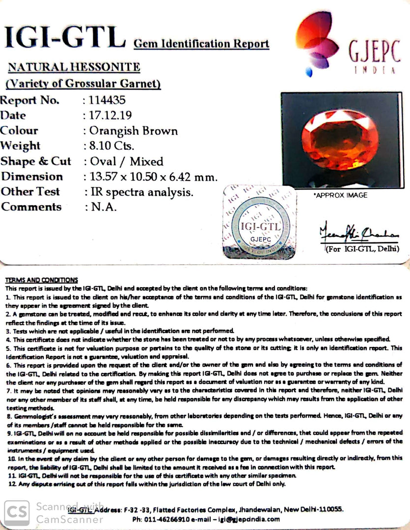 9.00 Ratti Natural Hessonite with Govt. Lab Certificate-(1221)