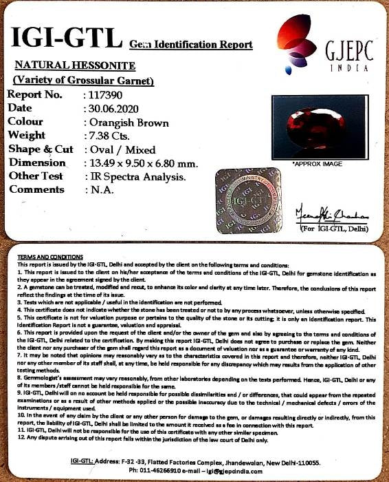8.19 Ratti Natural Govt. Lab Certified Ceylonese Gomed-(1221)