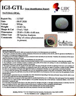 Load image into Gallery viewer, 14.43/CT Natural Fire Opal with Govt. Lab Certificate-4551