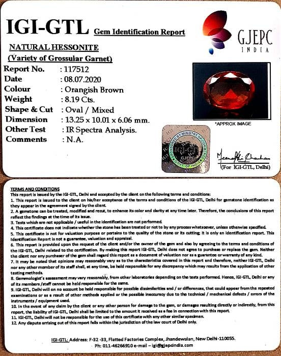9.10 Ratti Natural Govt. Lab Certified Ceylonese Gomed-(1221)