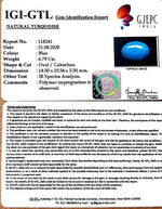 Load image into Gallery viewer, Turquoise
