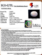 Load image into Gallery viewer, 16.63/CT Natural Fire Opal with Govt. Lab Certificate (4551)