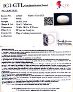 Load image into Gallery viewer, 16.60/CT Natural Fire Opal with Govt. Lab Certificate-2331