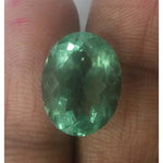 Load image into Gallery viewer, Tiger Eye