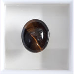 Load image into Gallery viewer, Tiger Eye-(350)