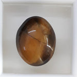 Load image into Gallery viewer, Tiger Eye-(350)