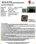 Load image into Gallery viewer, 9.53 Ratti Natural Tourmaline With Govt. Lab Certificate-(1221)