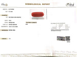 Load image into Gallery viewer, 7.76/Carat Natural Cylindrical Red Coral-1800