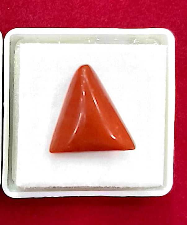 9.68/CT Natural Triangular Red Coral-2800
