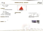 Load image into Gallery viewer, 6.53/CT Natural Triangular Red Coral-1800