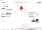 Load image into Gallery viewer, 6.73/CT Natural Triangular Red Coral-1800