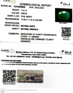 Load image into Gallery viewer, 7.52/CT Natural Panna Stone with Govt. Lab Certificate-12313D49920