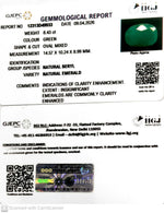 Load image into Gallery viewer, 8.43/CT Natural Panna Stone with Govt. Lab Certificate-12313D49933