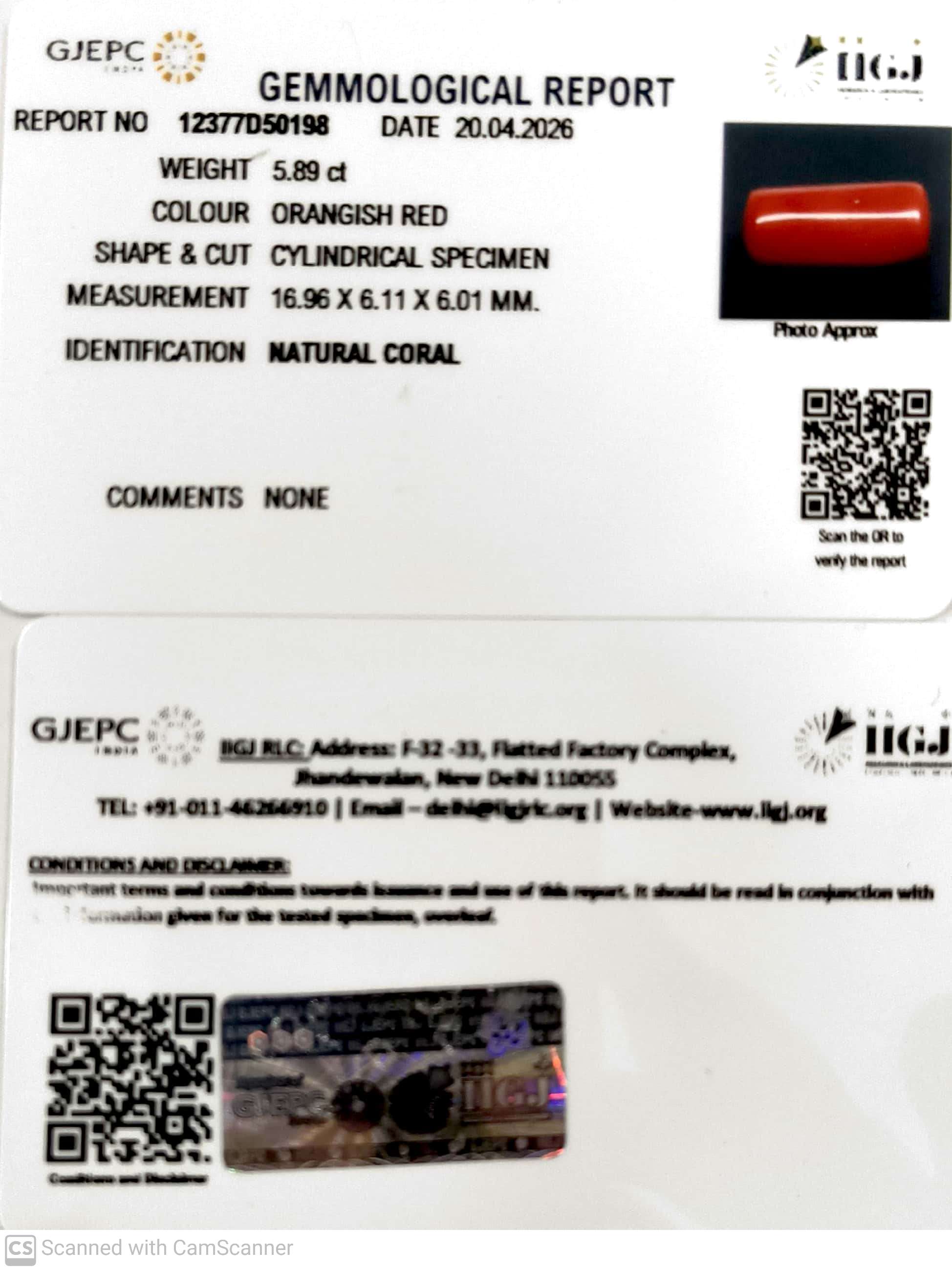 5.89/CT Natural Red Coral With Govt. Lab Certificate-12377D50198